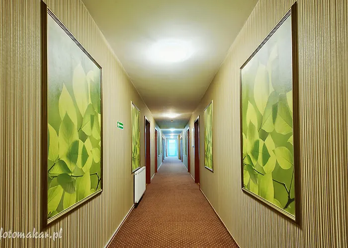 Ogrod Guest house 3*